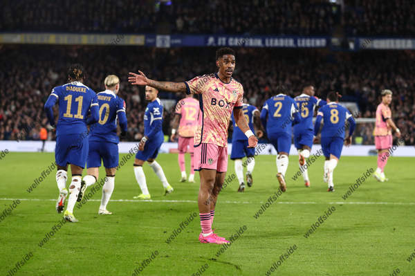 OFS_280224_CHE_LEE_003